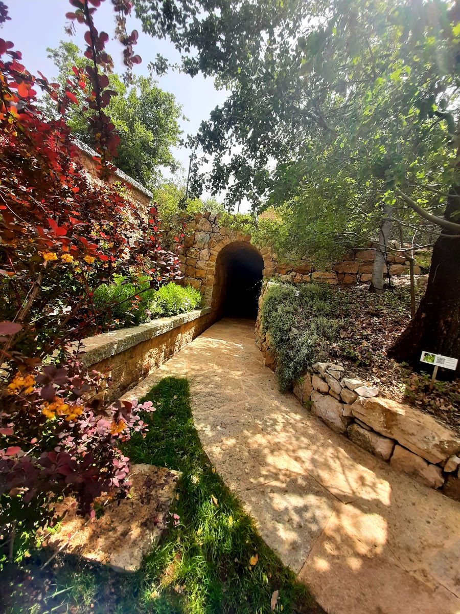 Tunnel