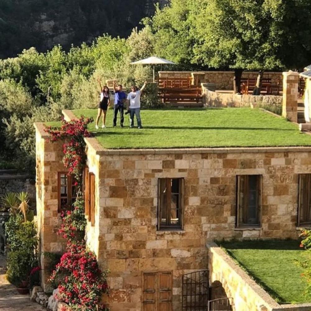 Sustainable Architecture Green-roof