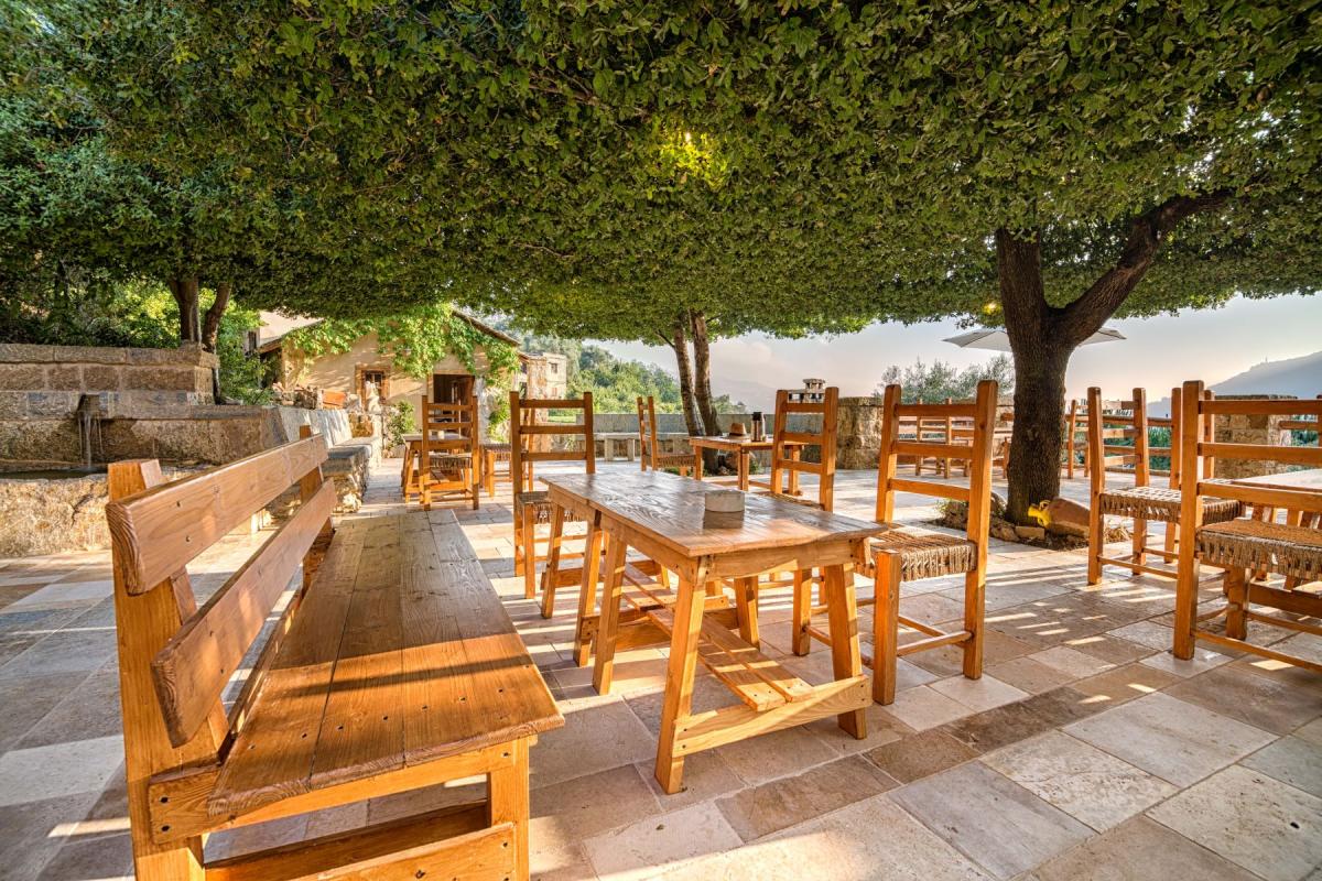 Under the oak tree Tour-10