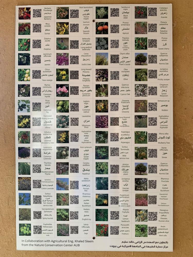 Name of the plants Tour-8